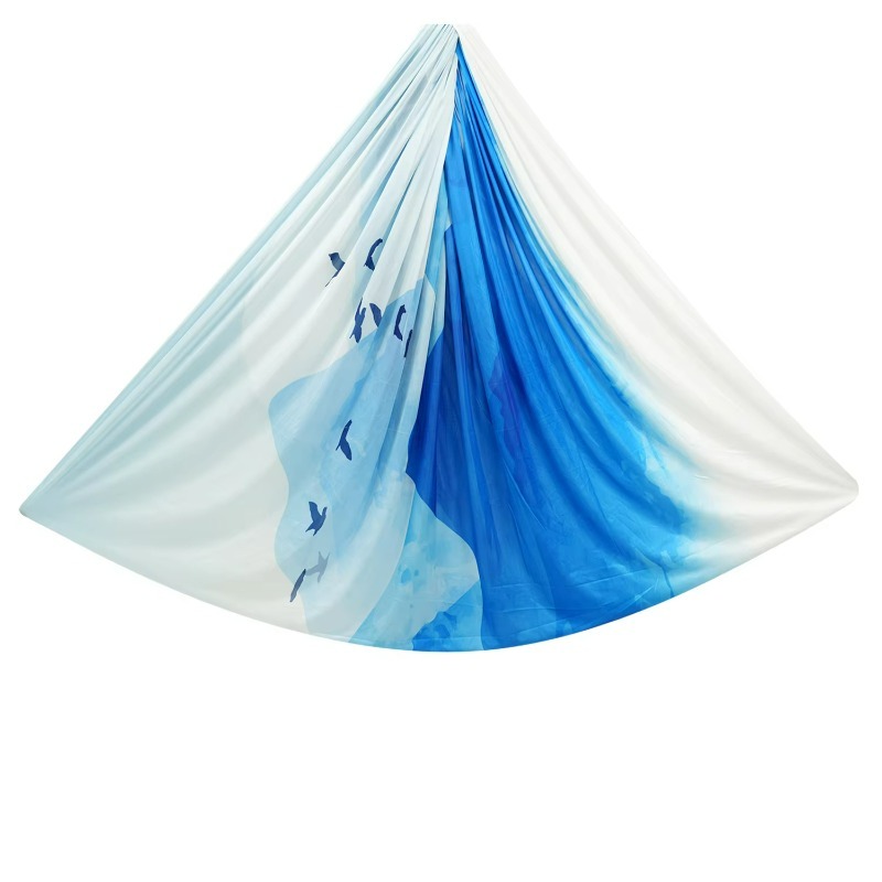 Ensemble de hamac de yoga en s - Aerial Silk Hammock avis et prix